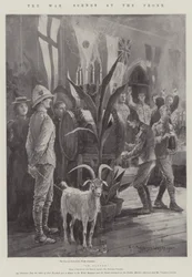 Der Krieg, Szenen an der Front